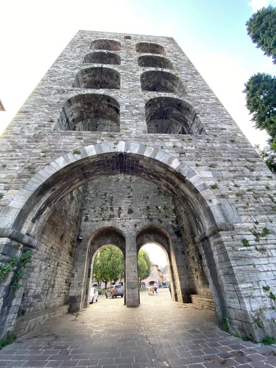 Vertical photo