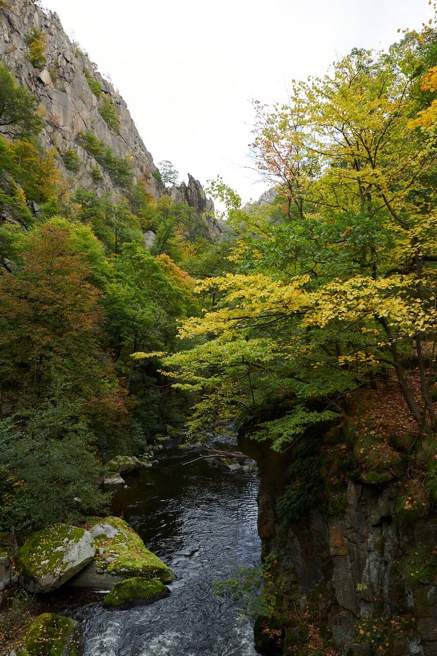 Vertical photo