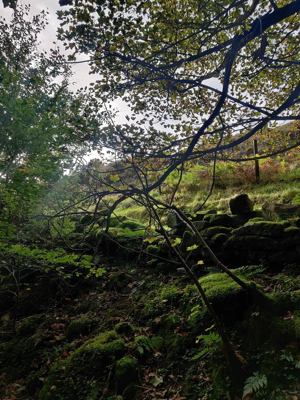 Challenging but Rewarding Hike