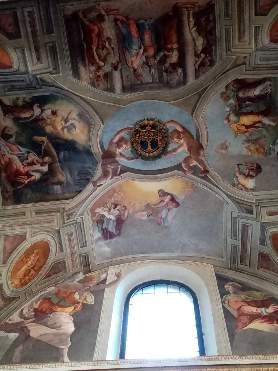 Vertical photo