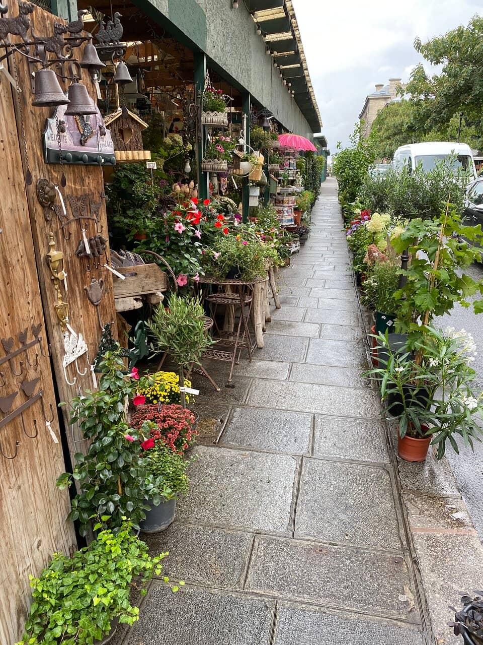 Live Bird Market