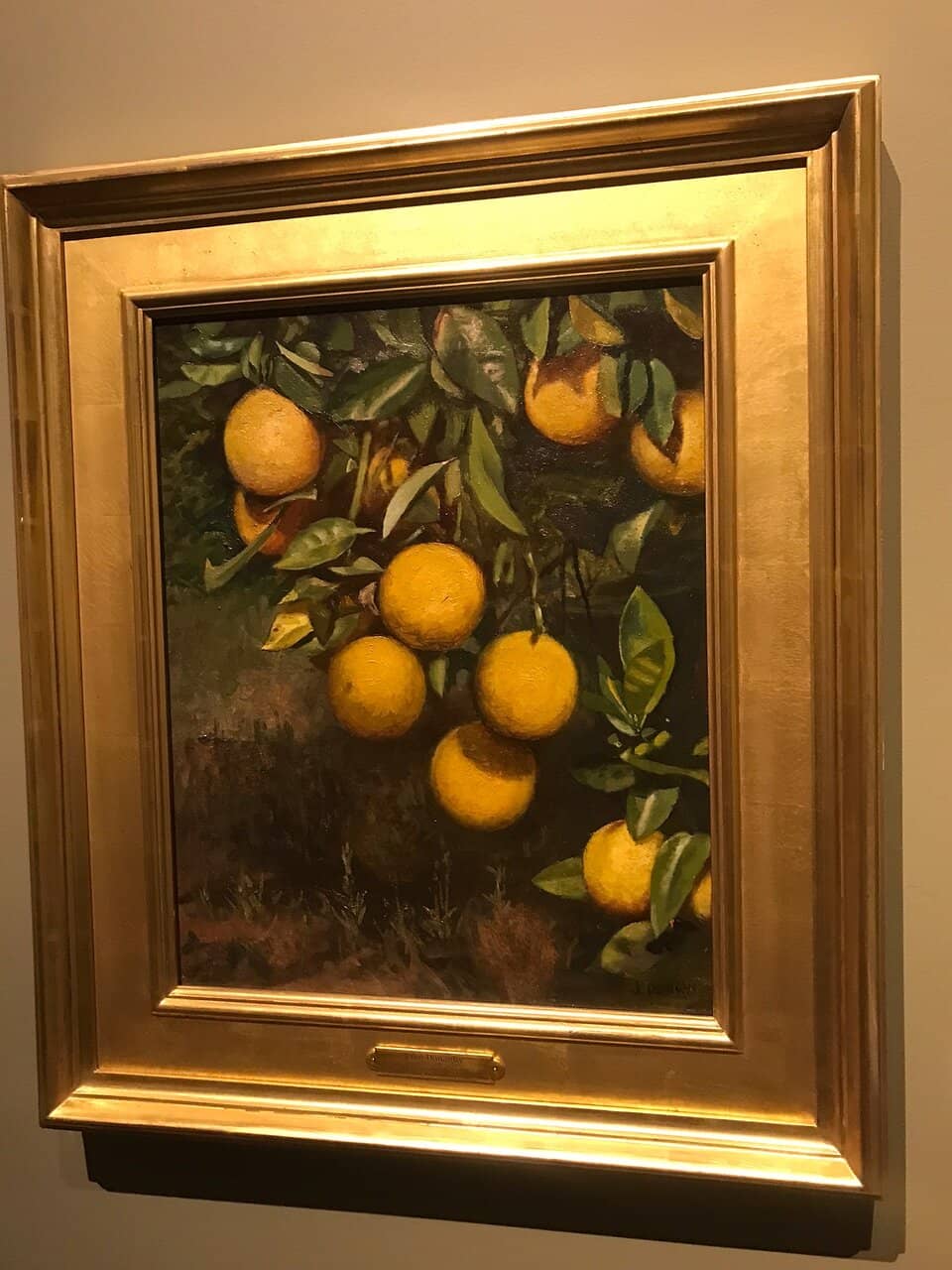 Audubon's Birds of Florida