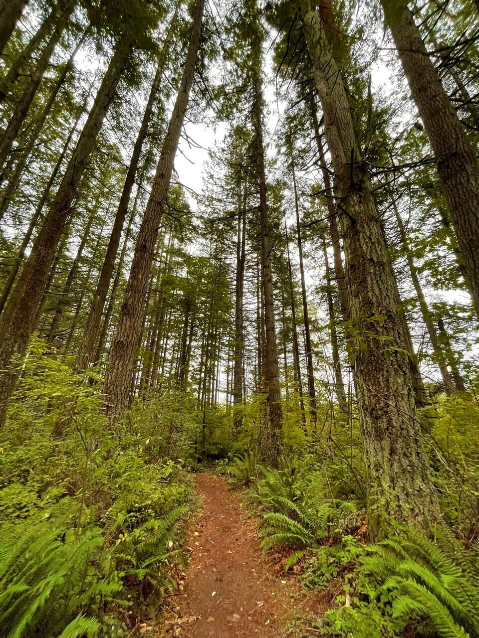 Picnic & Relaxation Spots