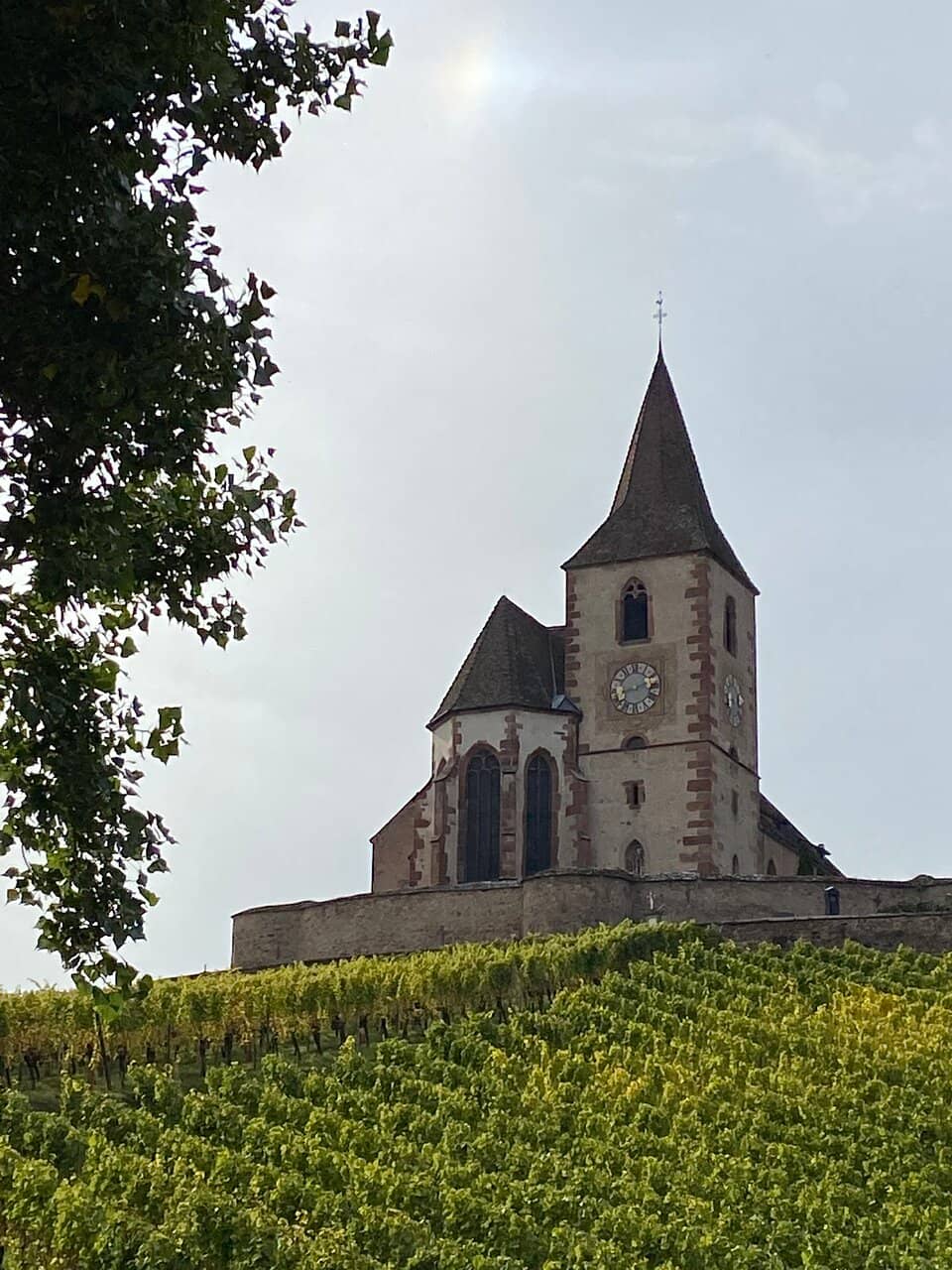 Sigolsheim Necropolis Viewpoint