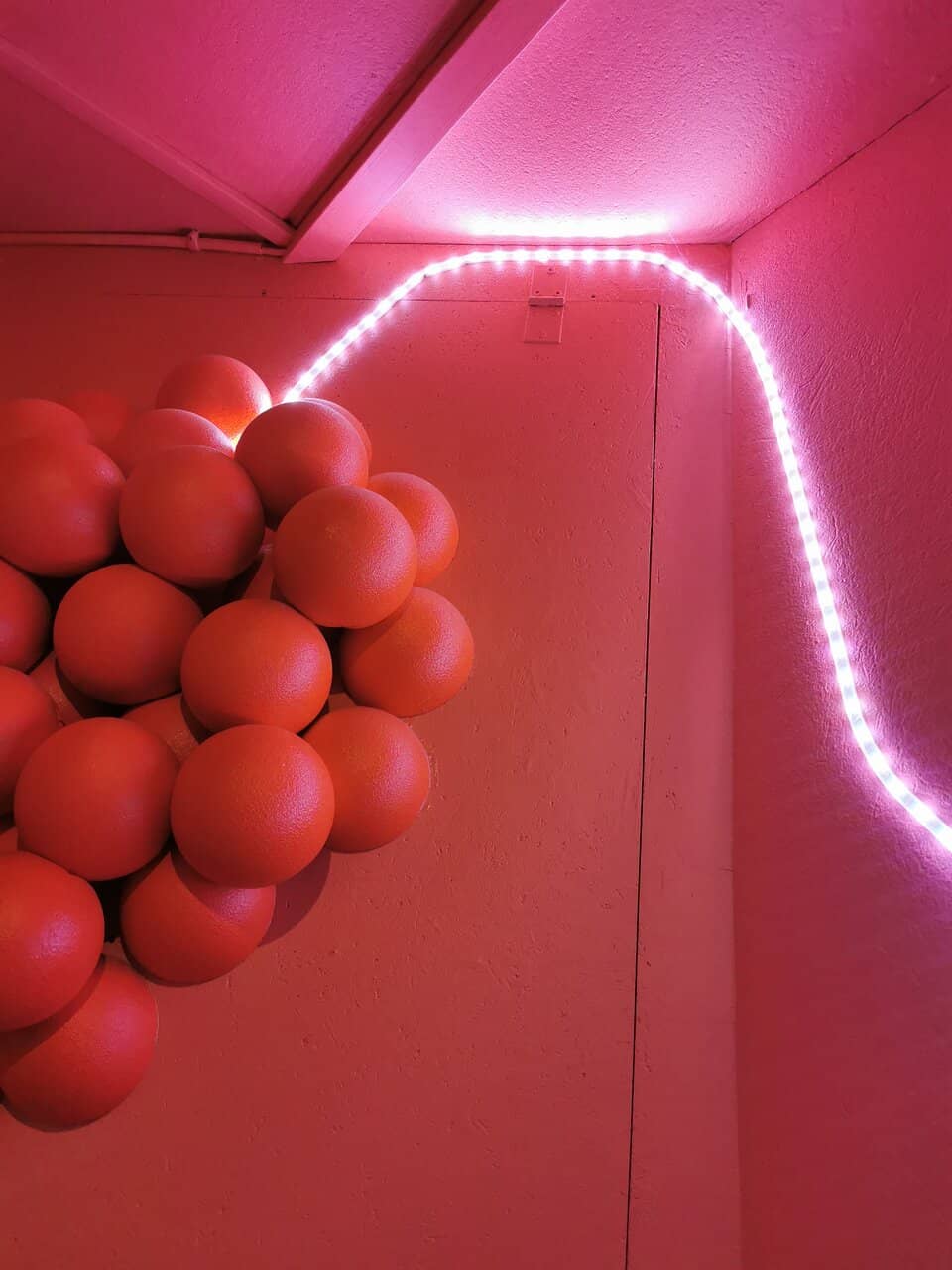 Interactive Science Shows