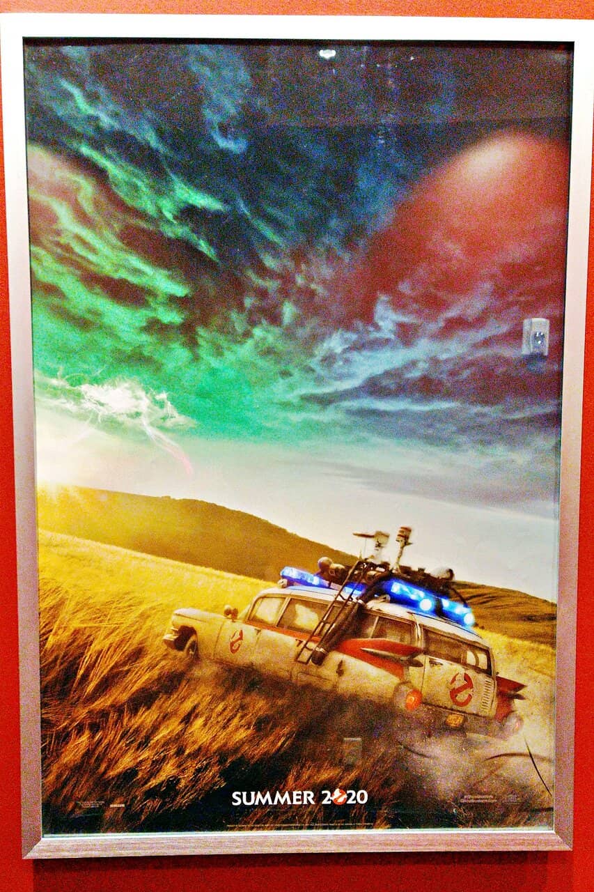 Live Music Performances