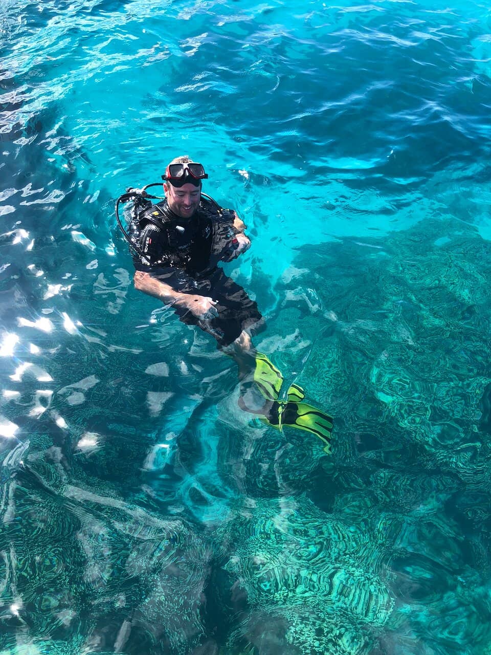 Shark Spotting