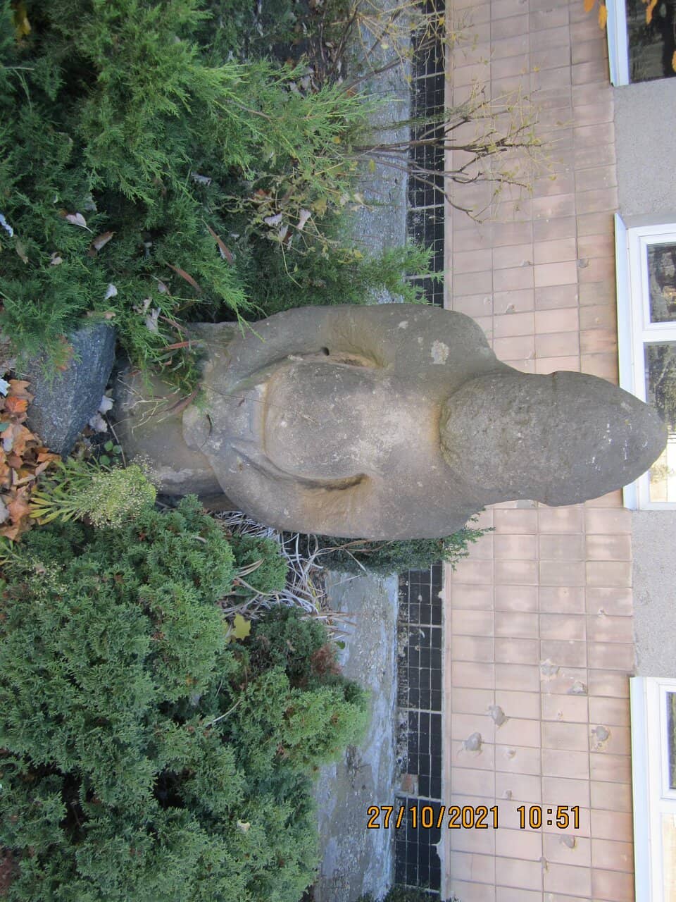 Vertical photo
