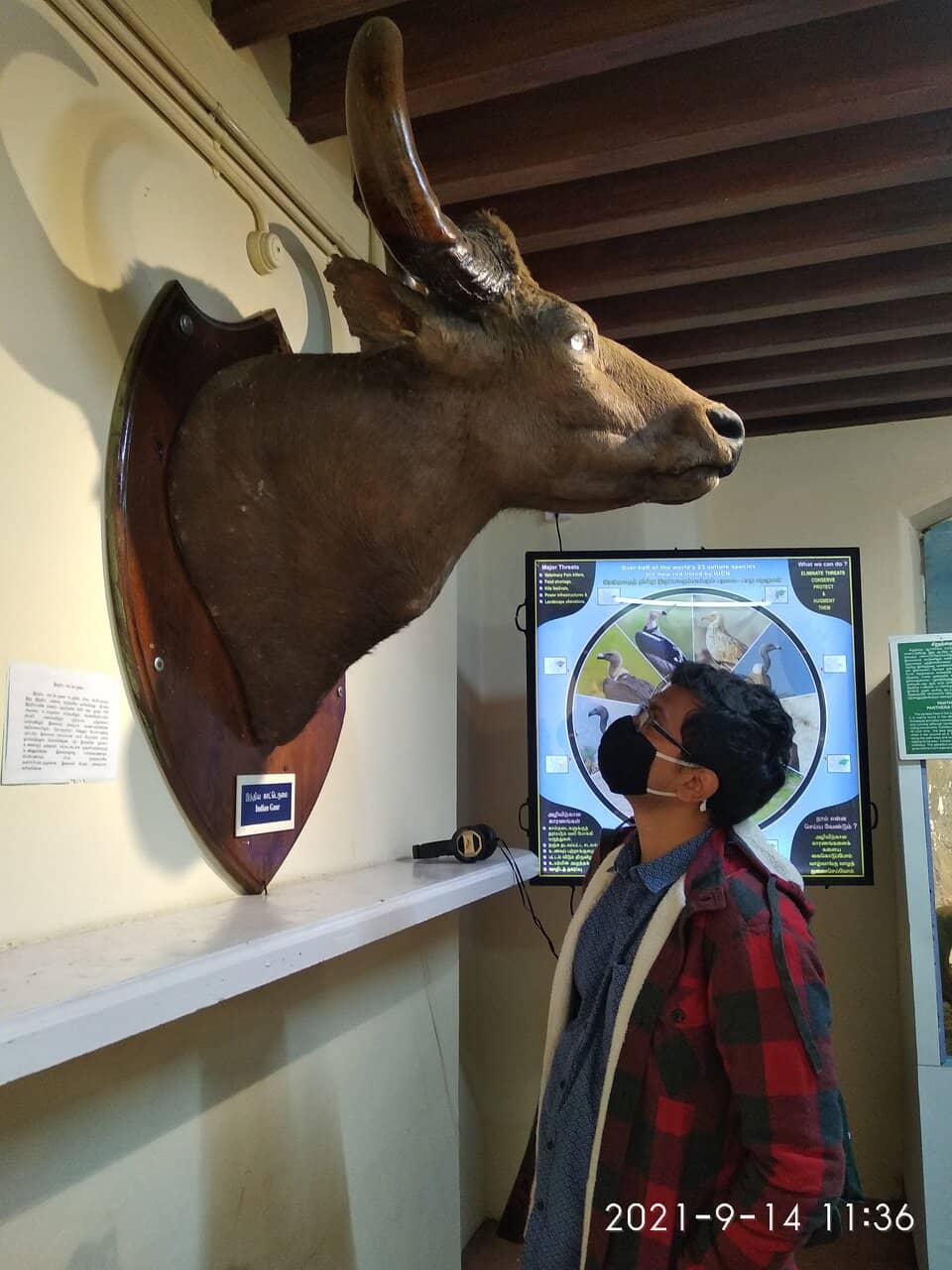 Zoological & Botanical Specimens