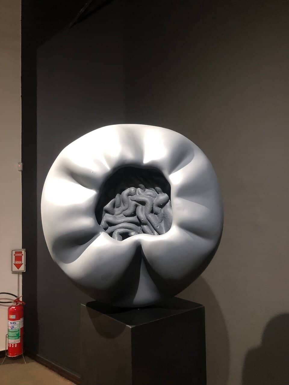 Historic Correios Building