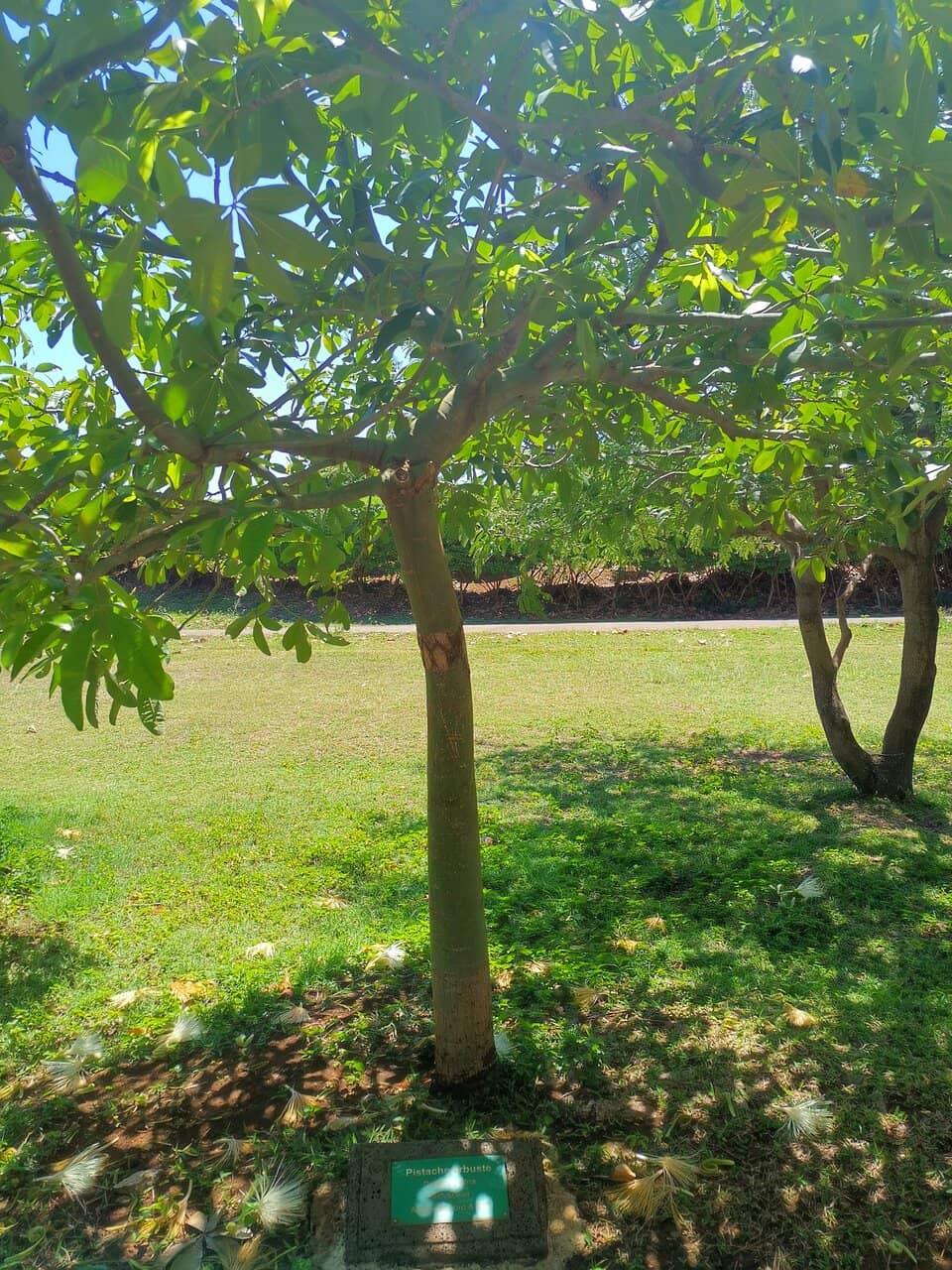 Vibrant Dusk Atmosphere