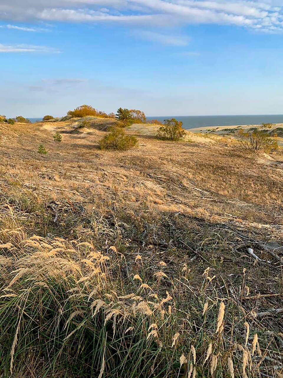 Panoramic Baltic Sea Views