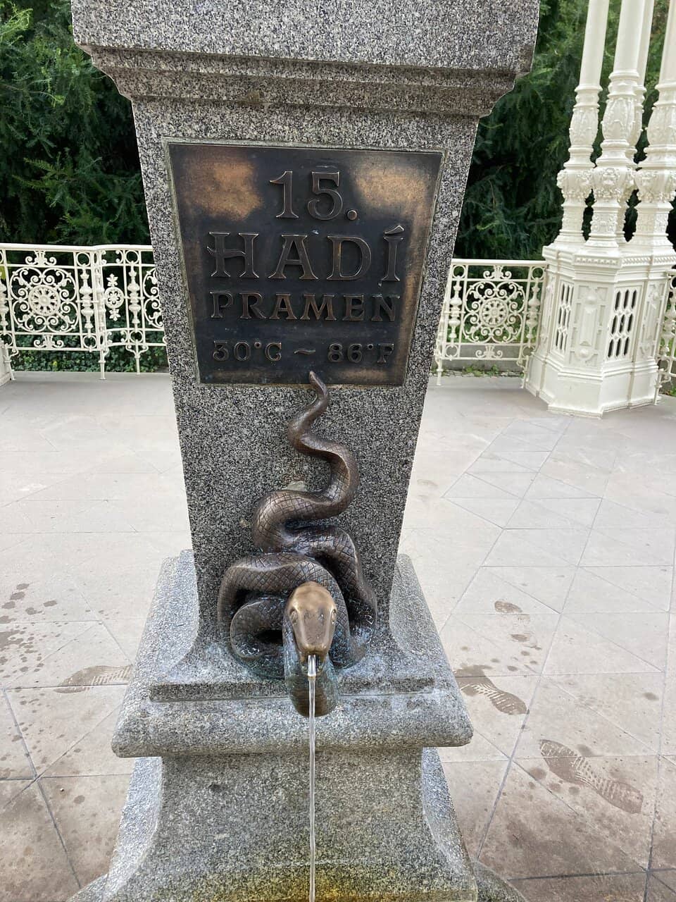 Mineral Spring Tasting