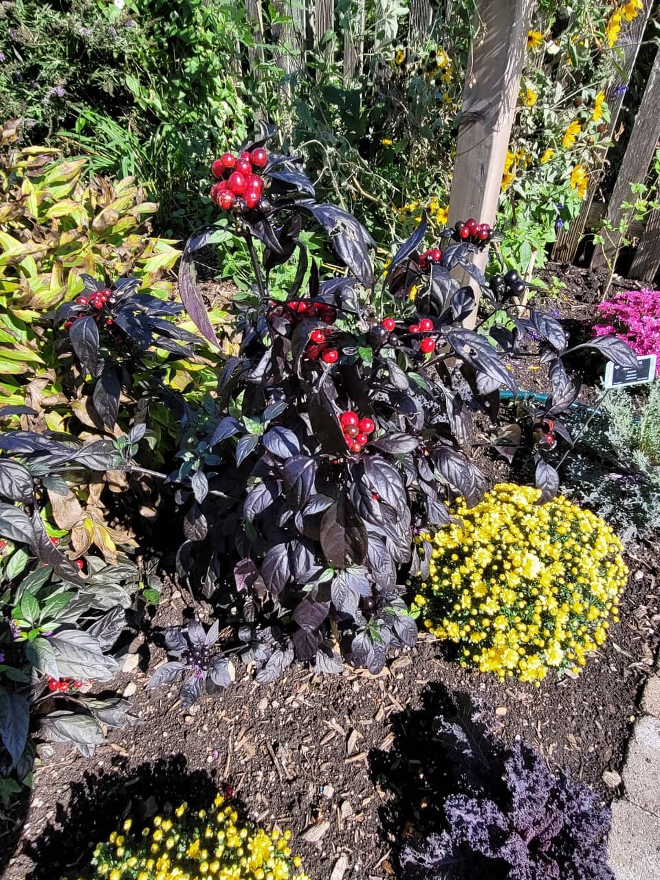 Master Gardener Demonstration Garden