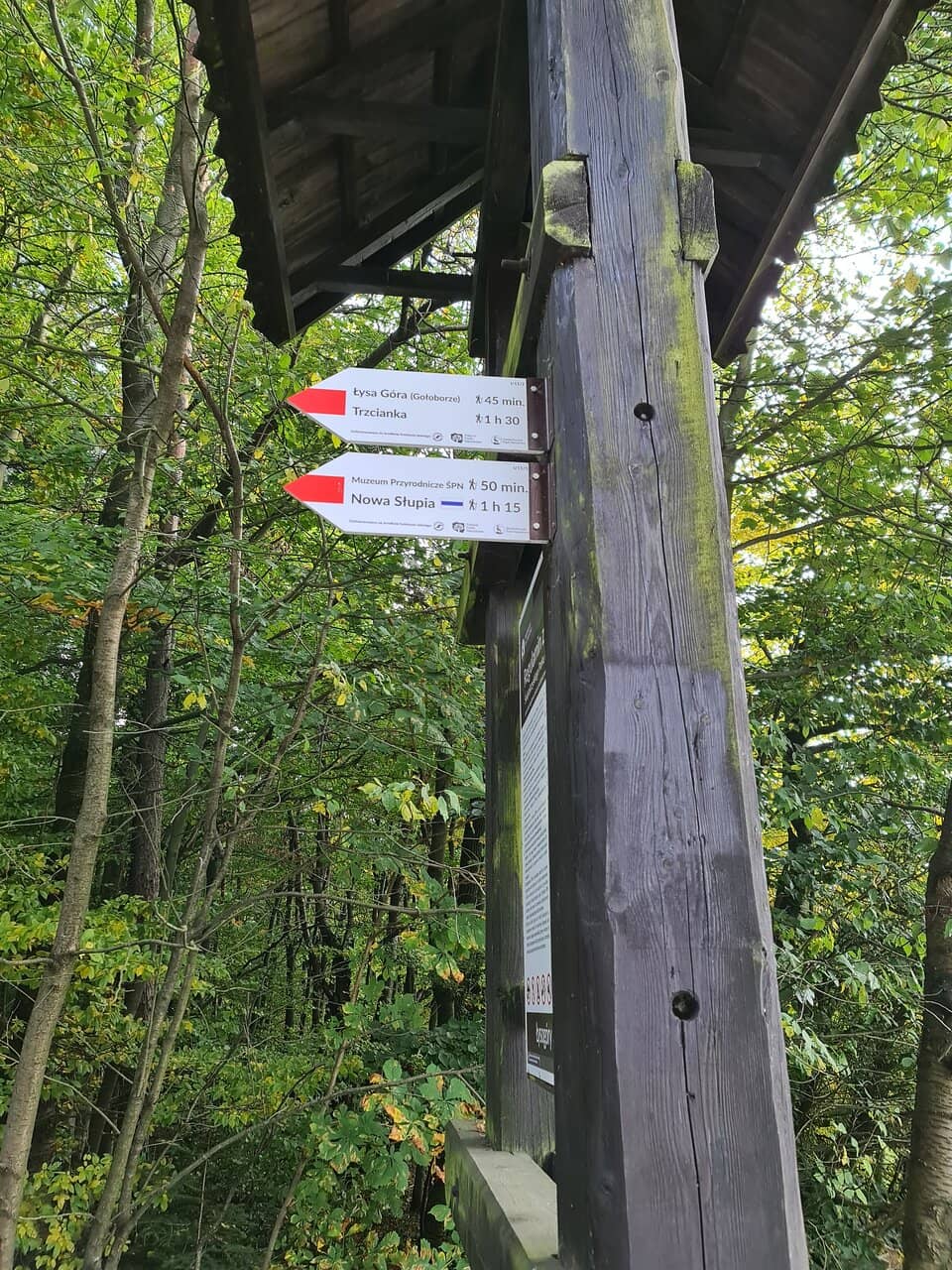 Family-Friendly Trails