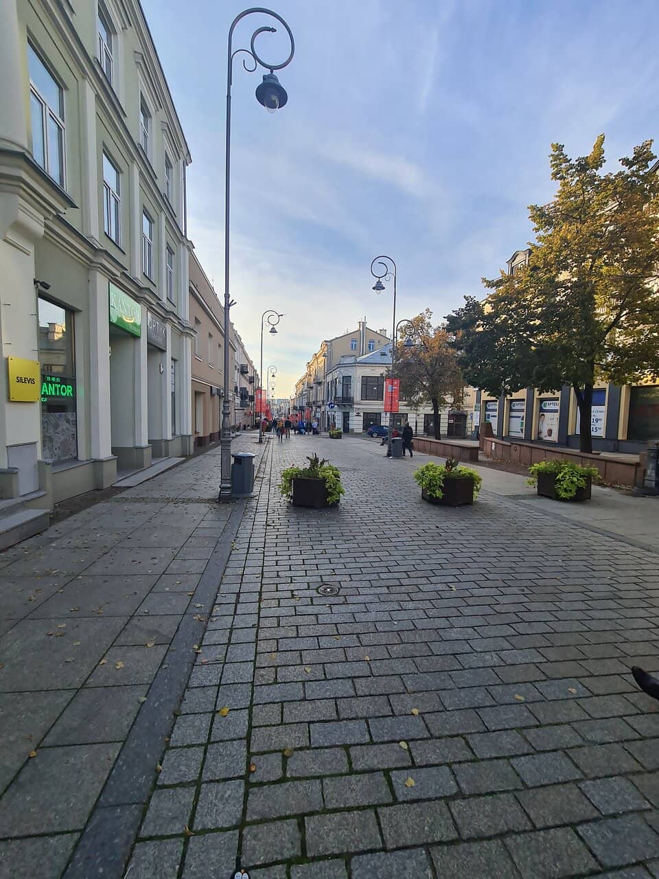 Charming Cafes & Bistros