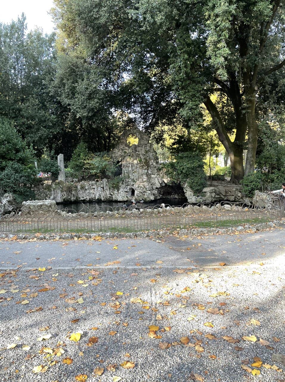 Vertical photo