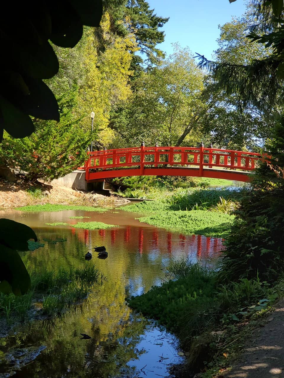 Japanese Garden