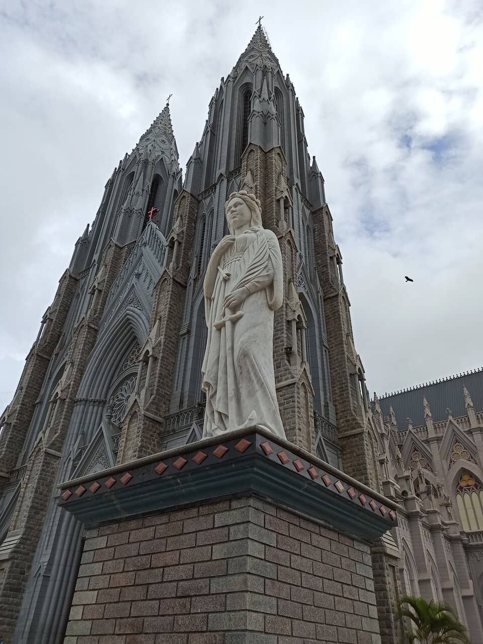 Vertical photo