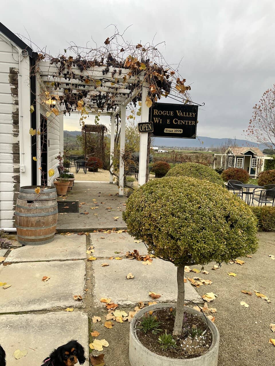 Demonstration Vineyard & Grounds