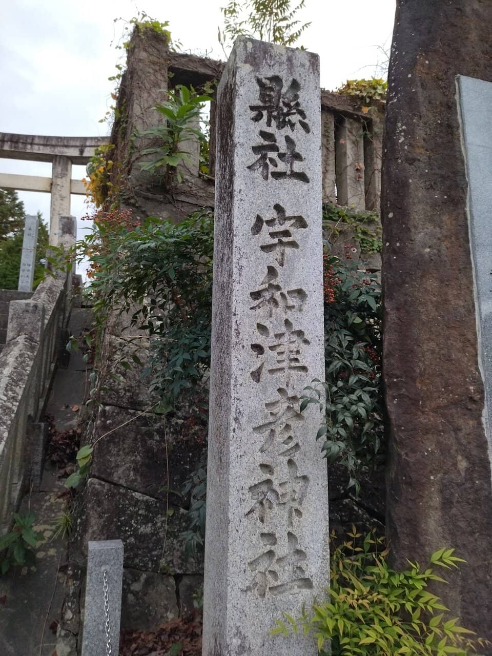 Vertical photo