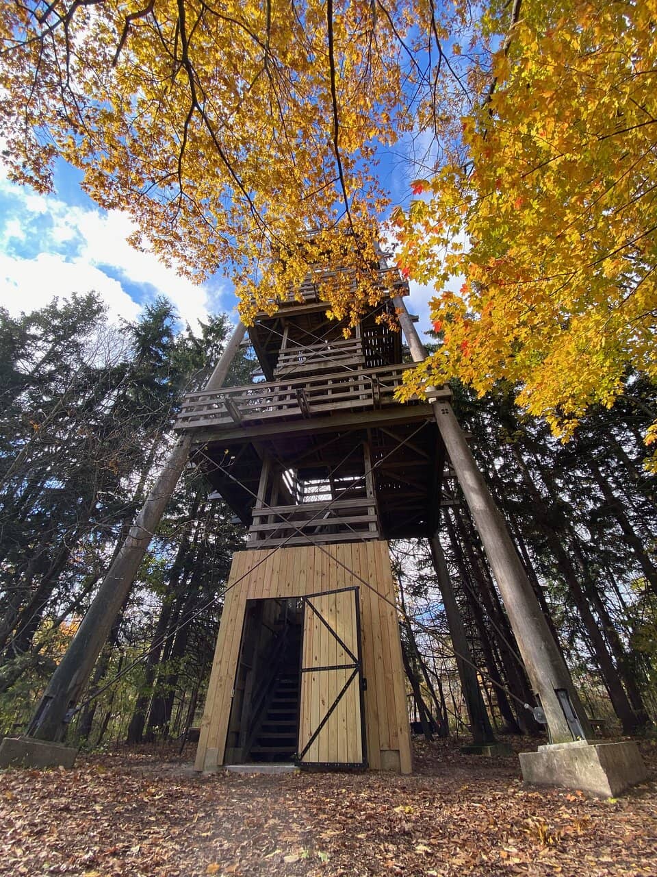 Diverse Ecosystem Trails
