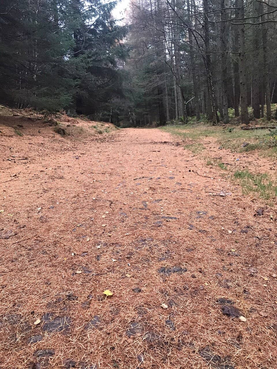 Mountain Bike Park