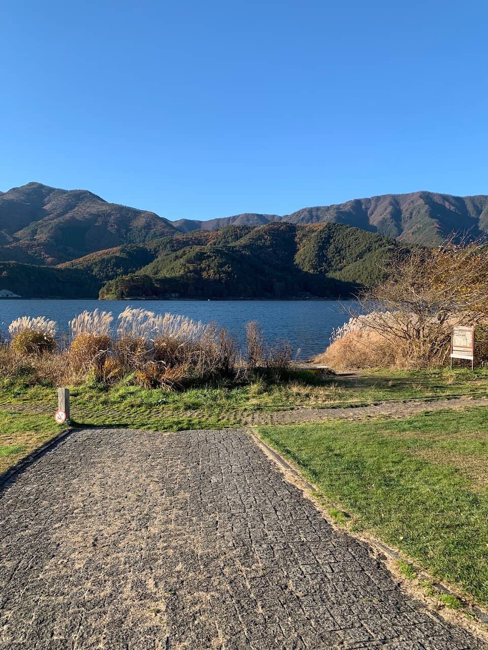 Pet-Friendly Park