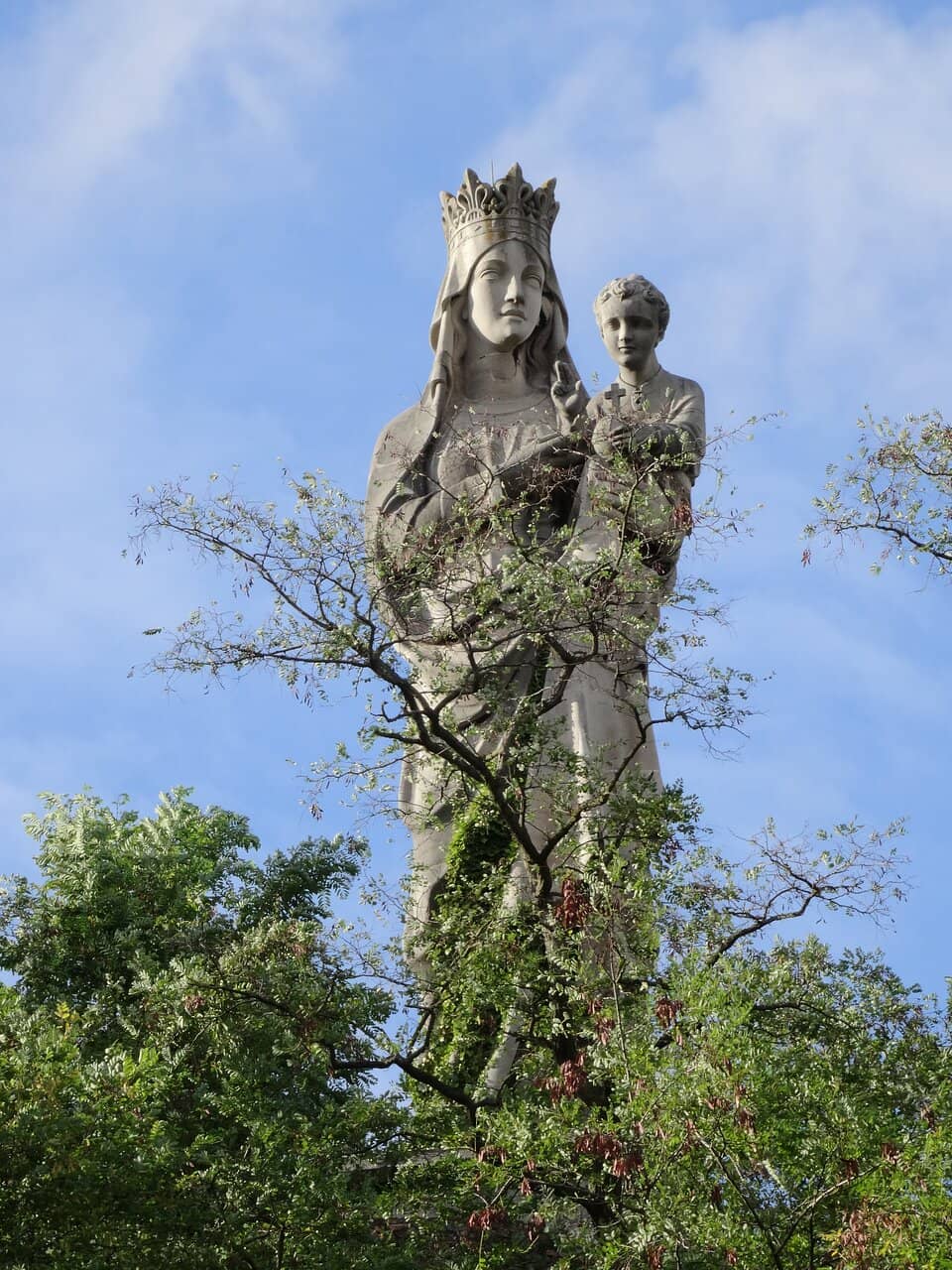 Vertical photo