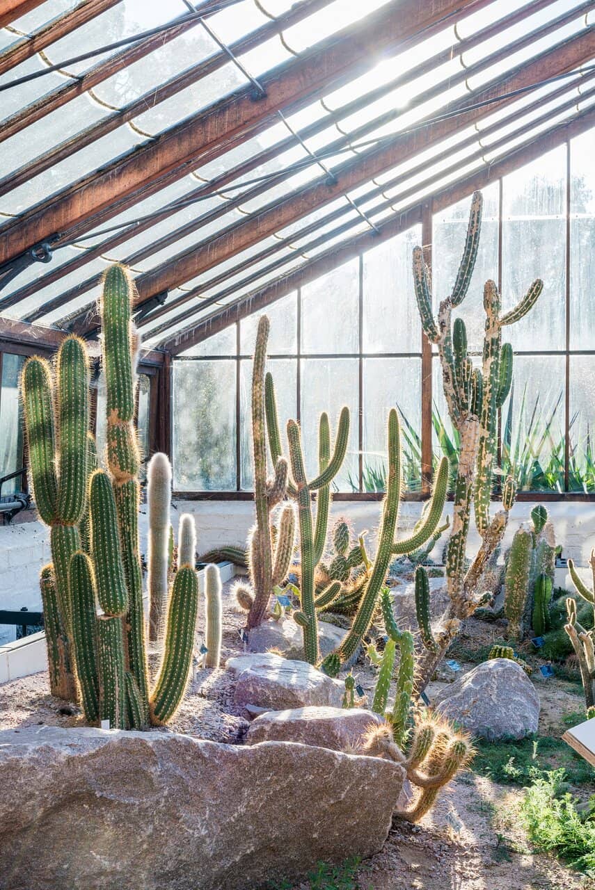 Heritage Apple Varieties