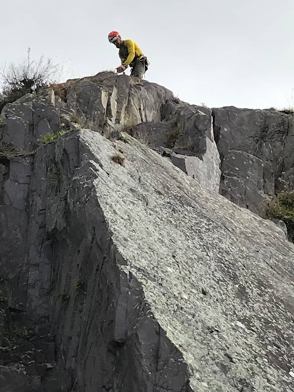 Vertical photo