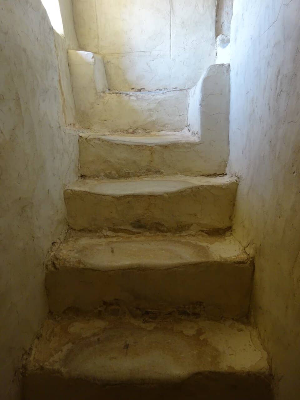 Contemporary Art Exhibitions