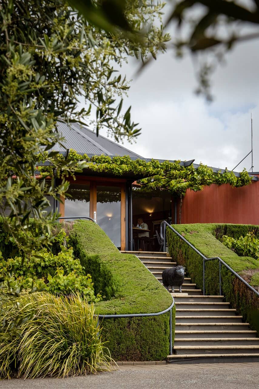 The 'Black Sheep' Wine Experience