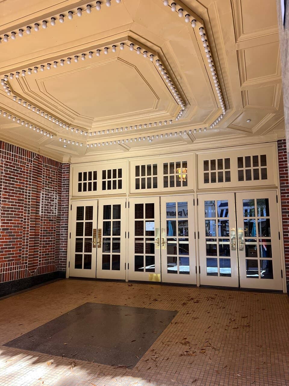 Diverse Live Performances