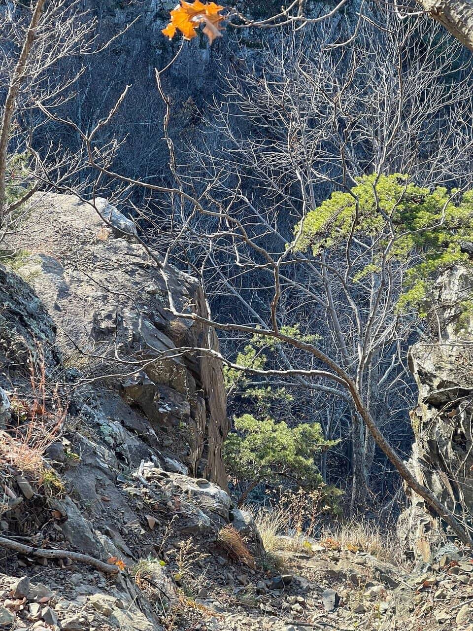 Natural Swimming Holes