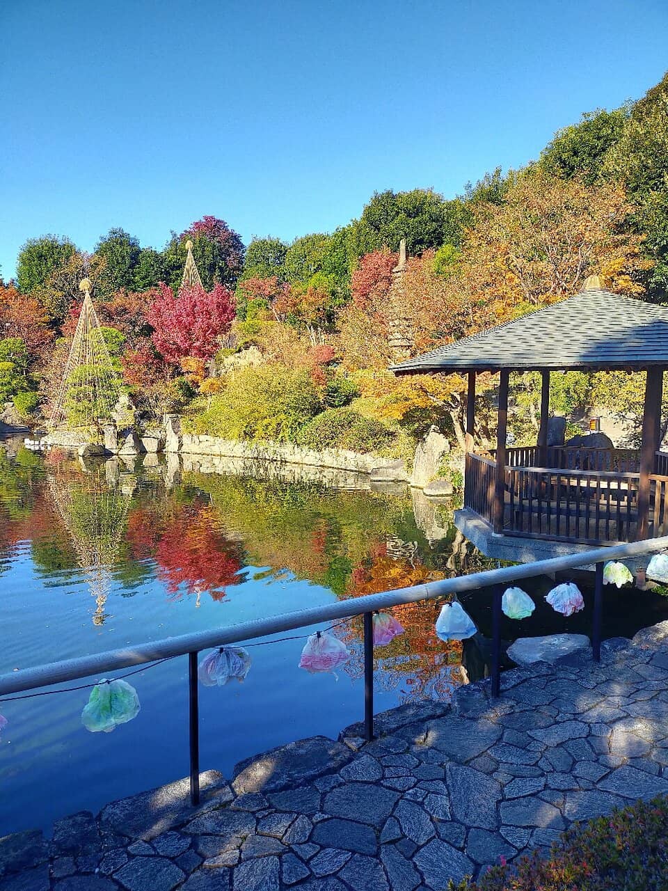 Koi Pond