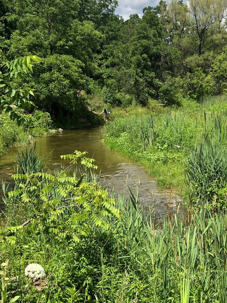 Riverside Trails