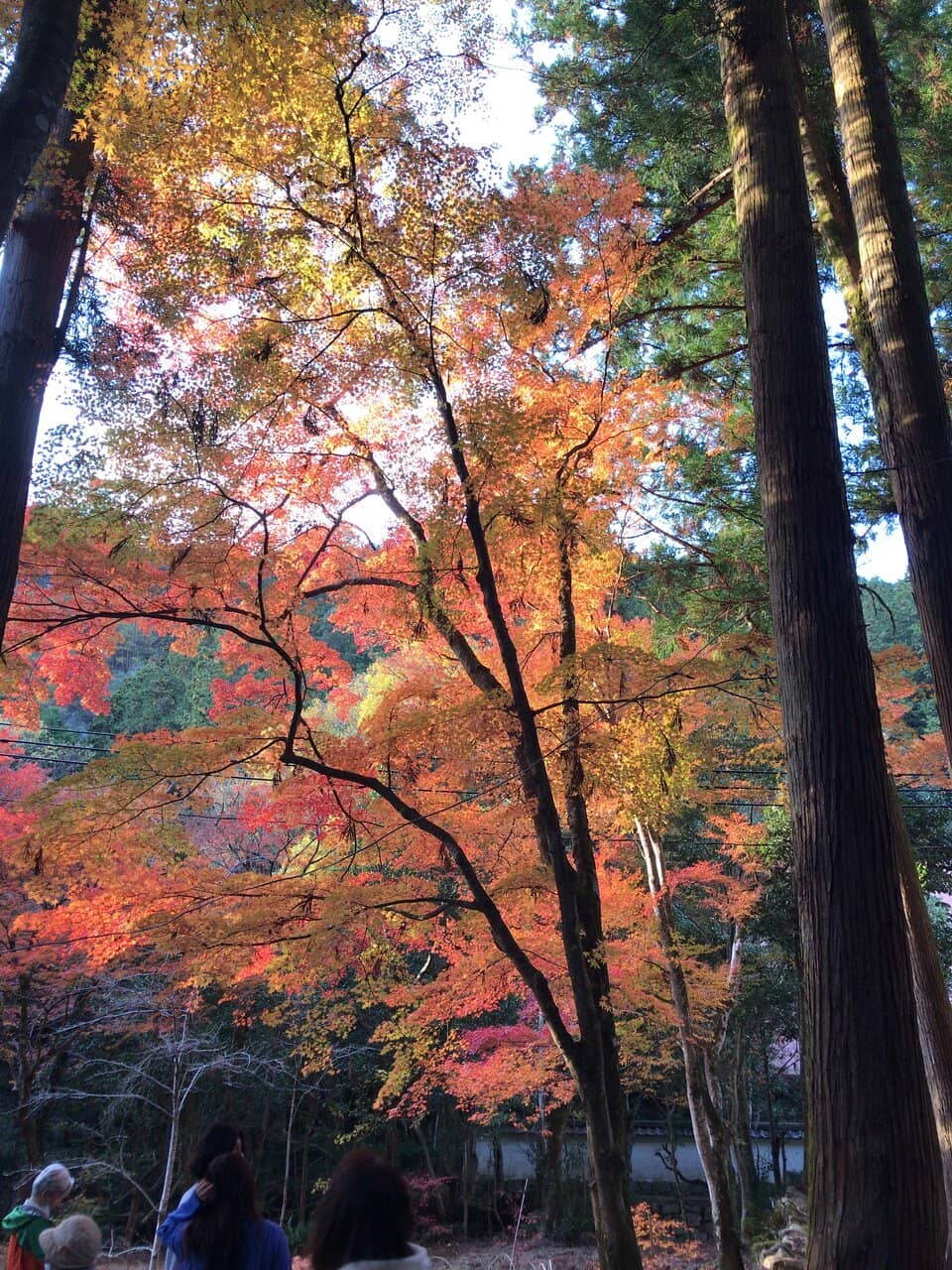 Historic Buddhist Architecture