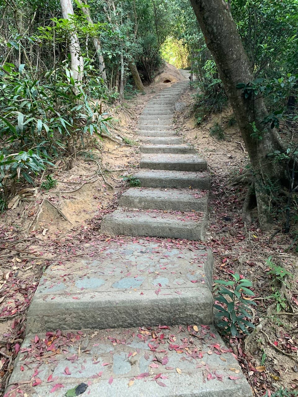 Vertical photo