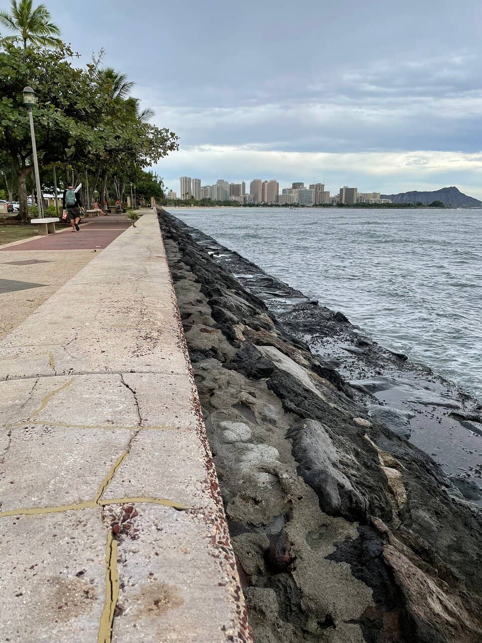 Sunset Catamaran Cruises