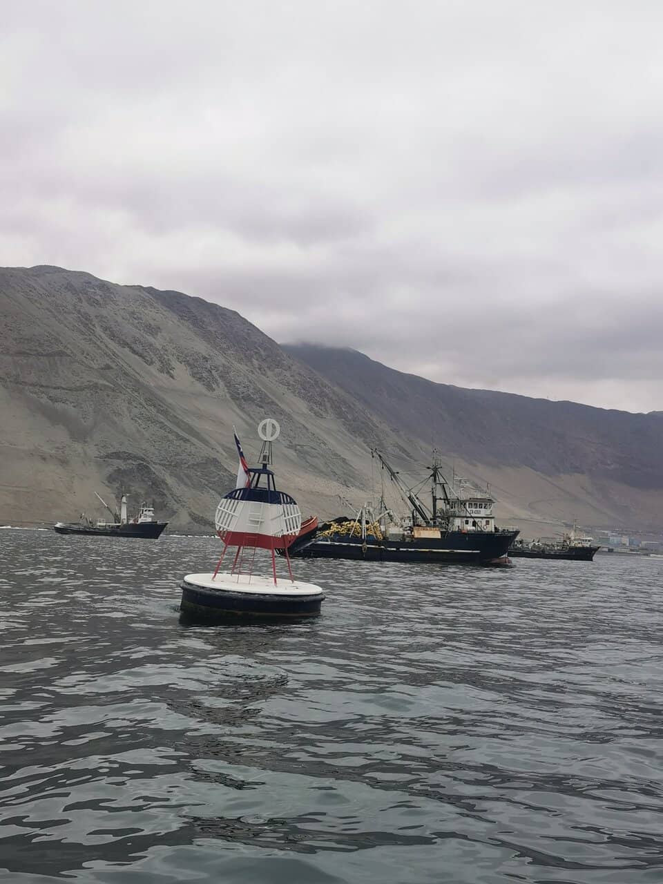 Sea Lion Colony
