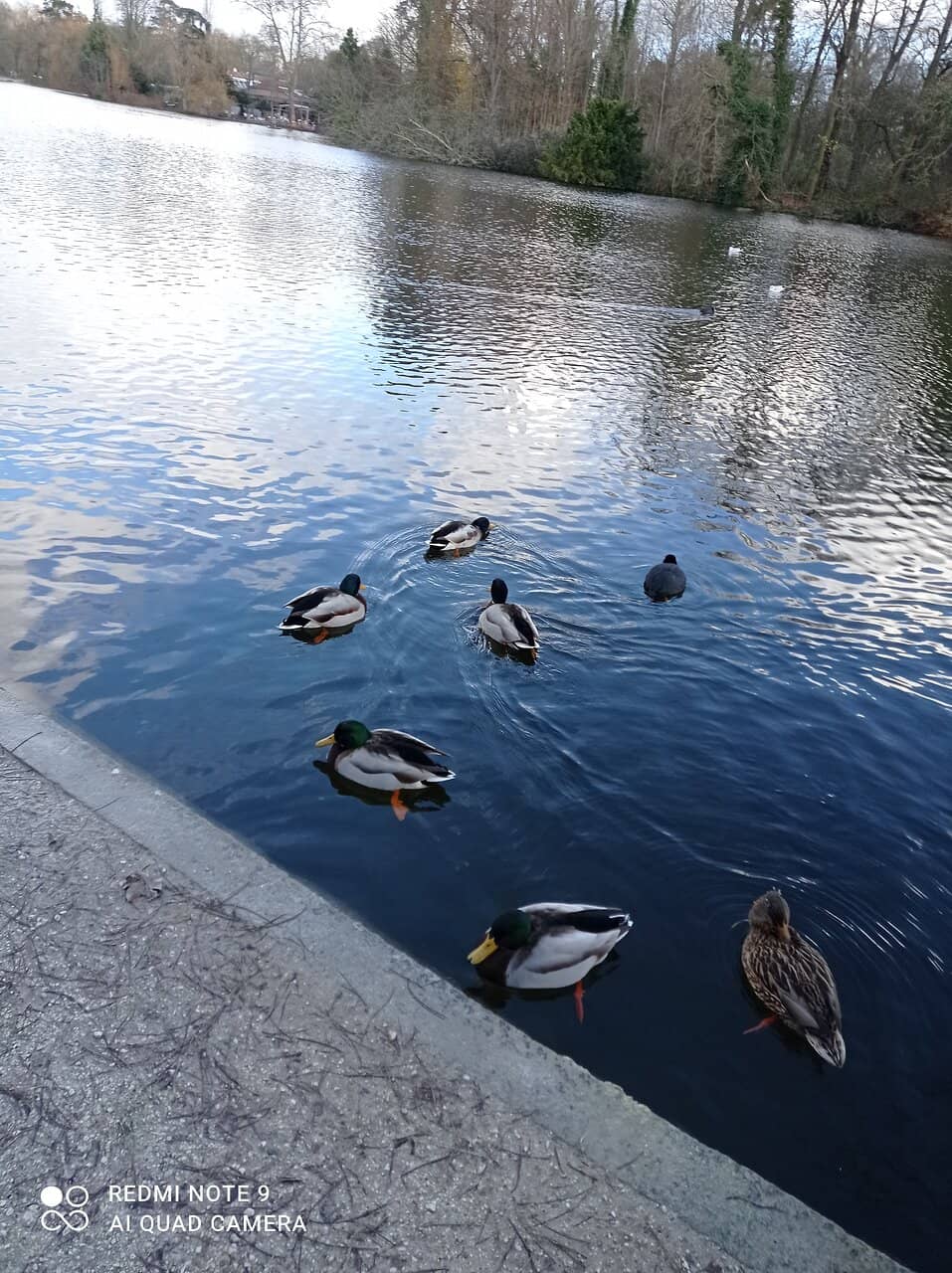 Boating on the Water