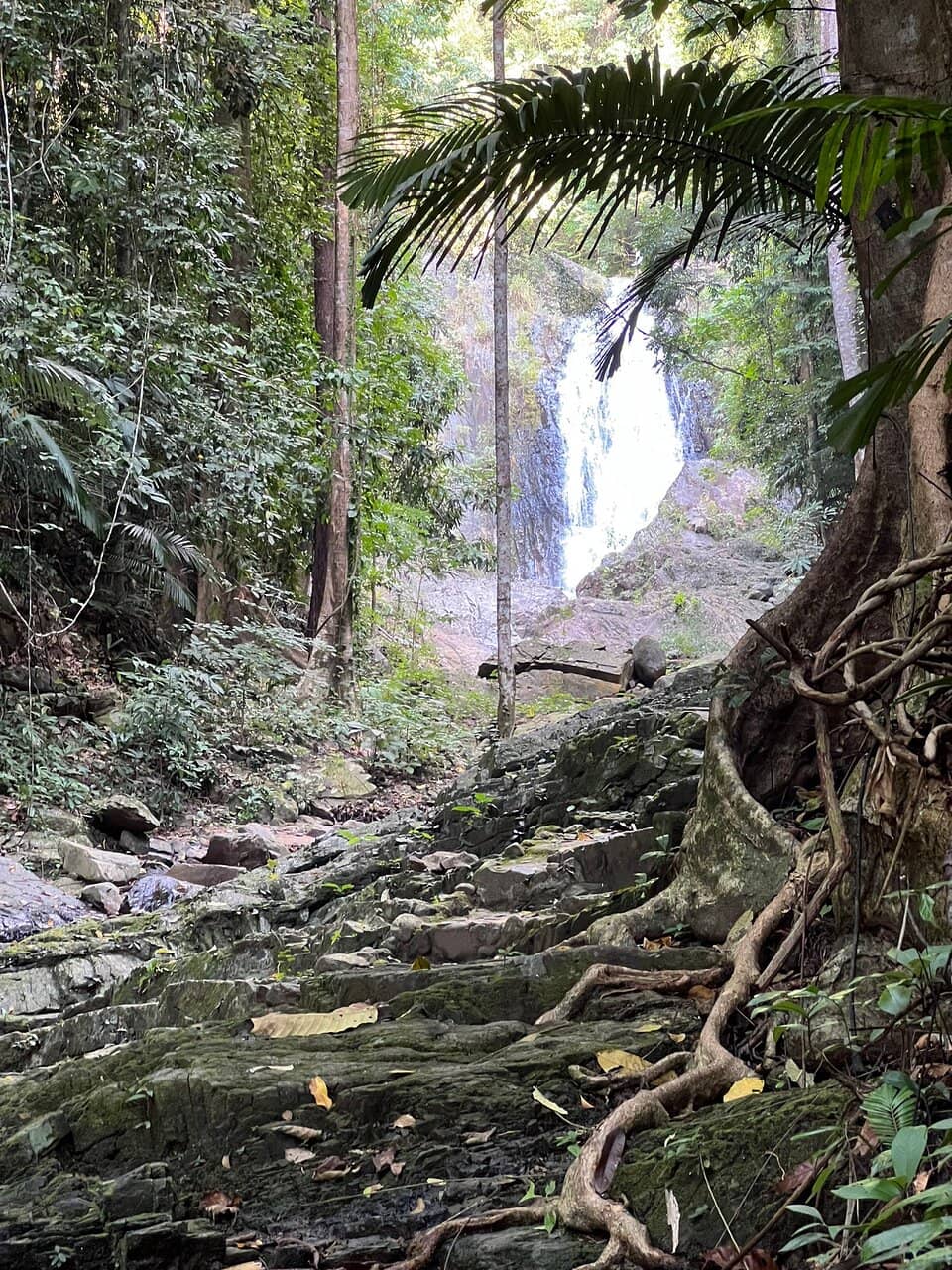 Climbing to Higher Levels