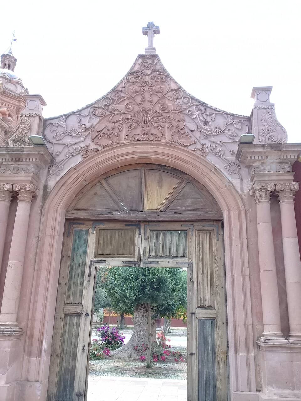 Vertical photo