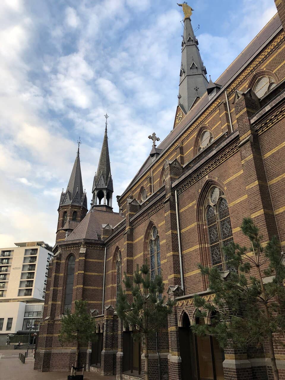 Vertical photo