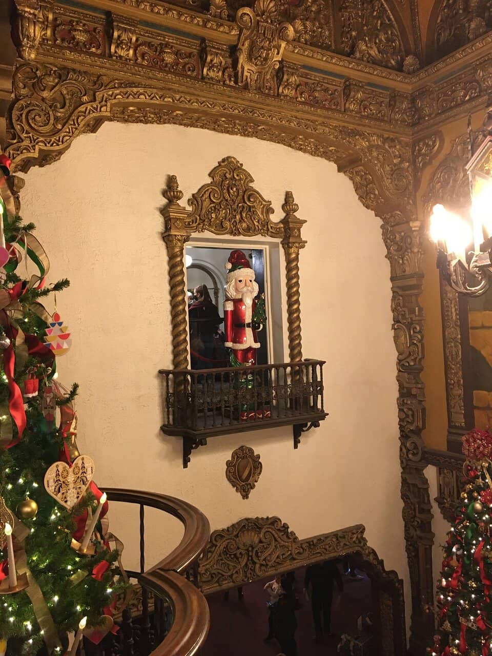 Diverse Live Performances