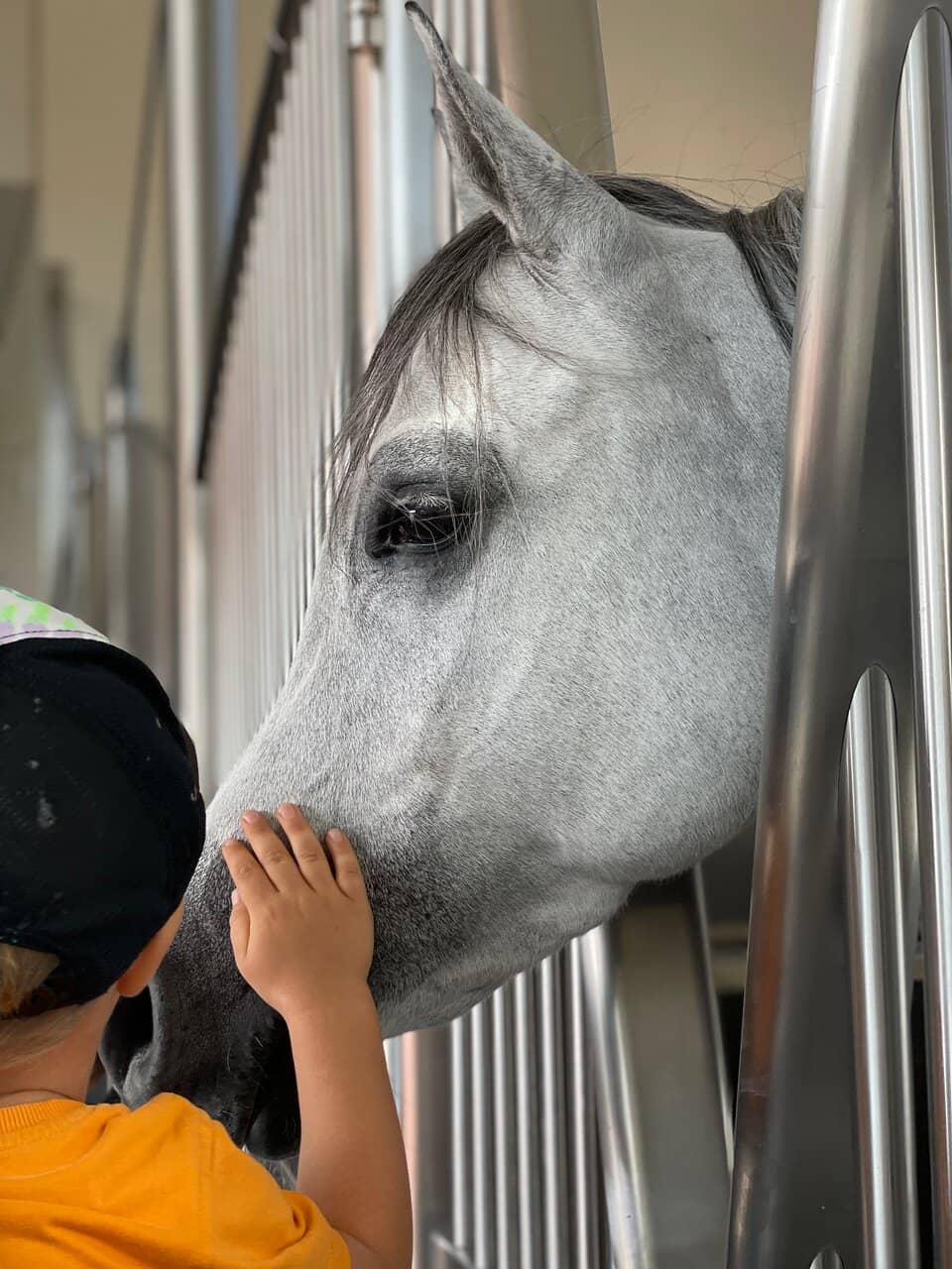 World-Class Facilities