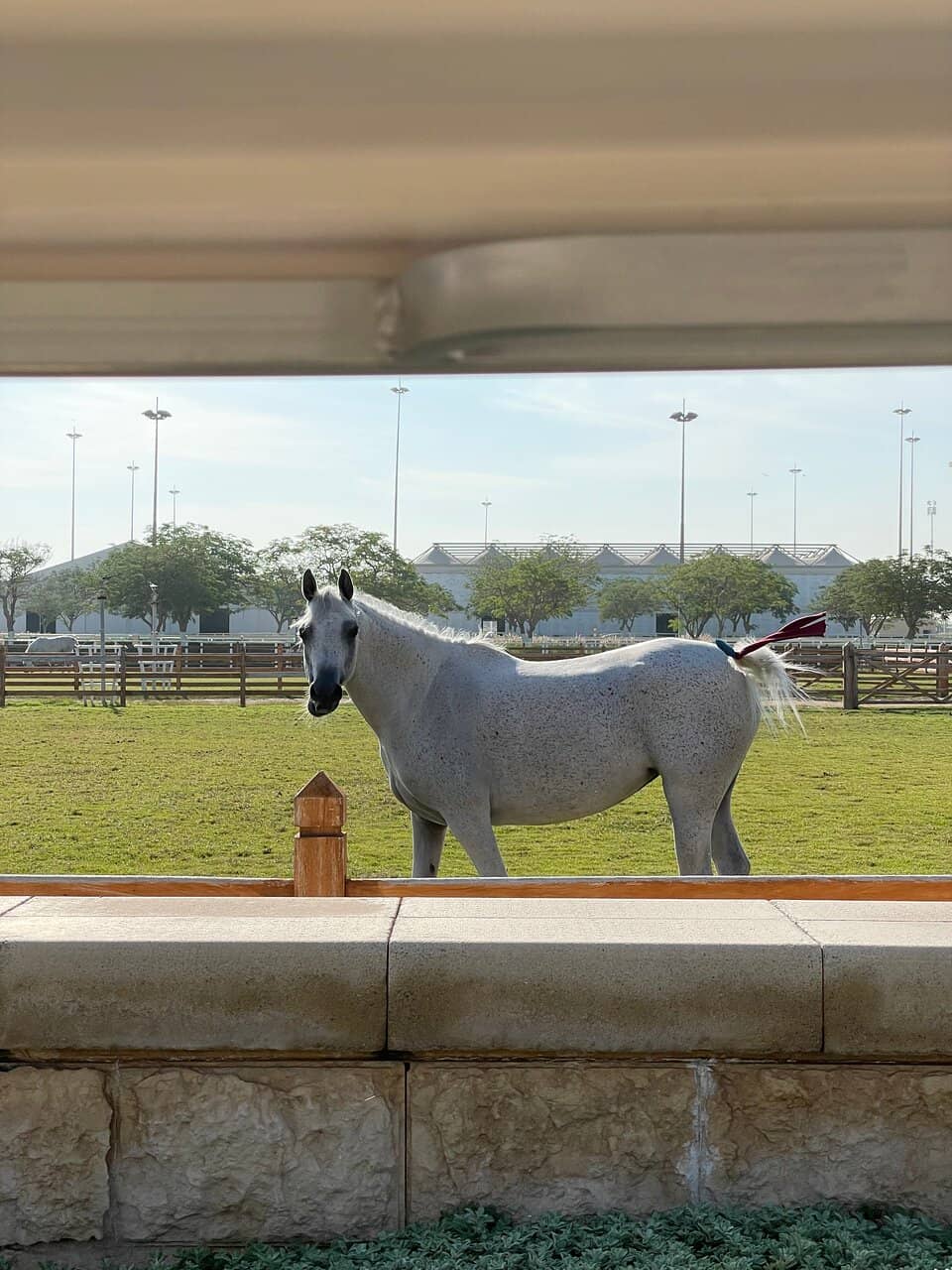 Equestrian Competitions