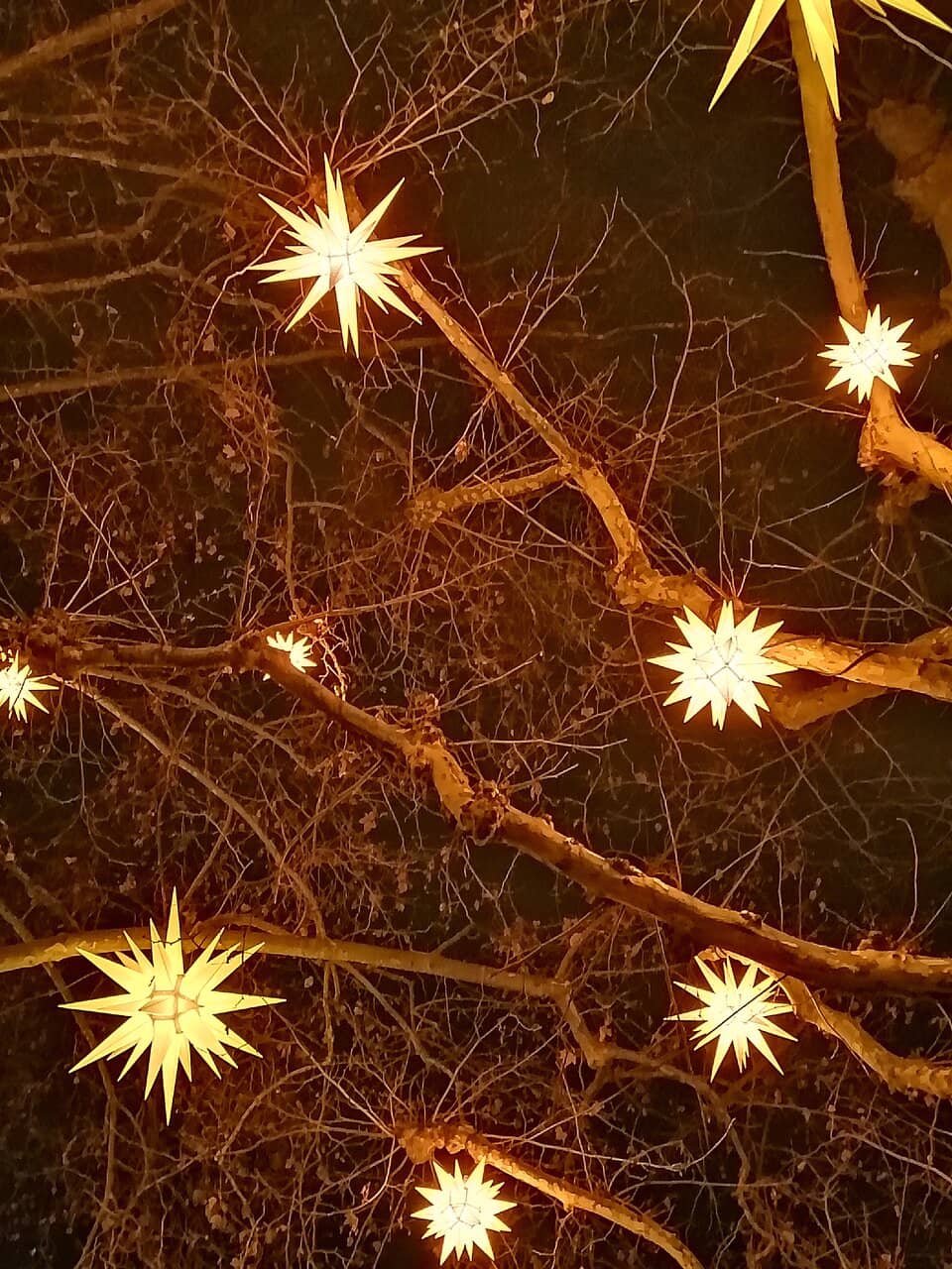 Place Kléber's Grand Christmas Tree