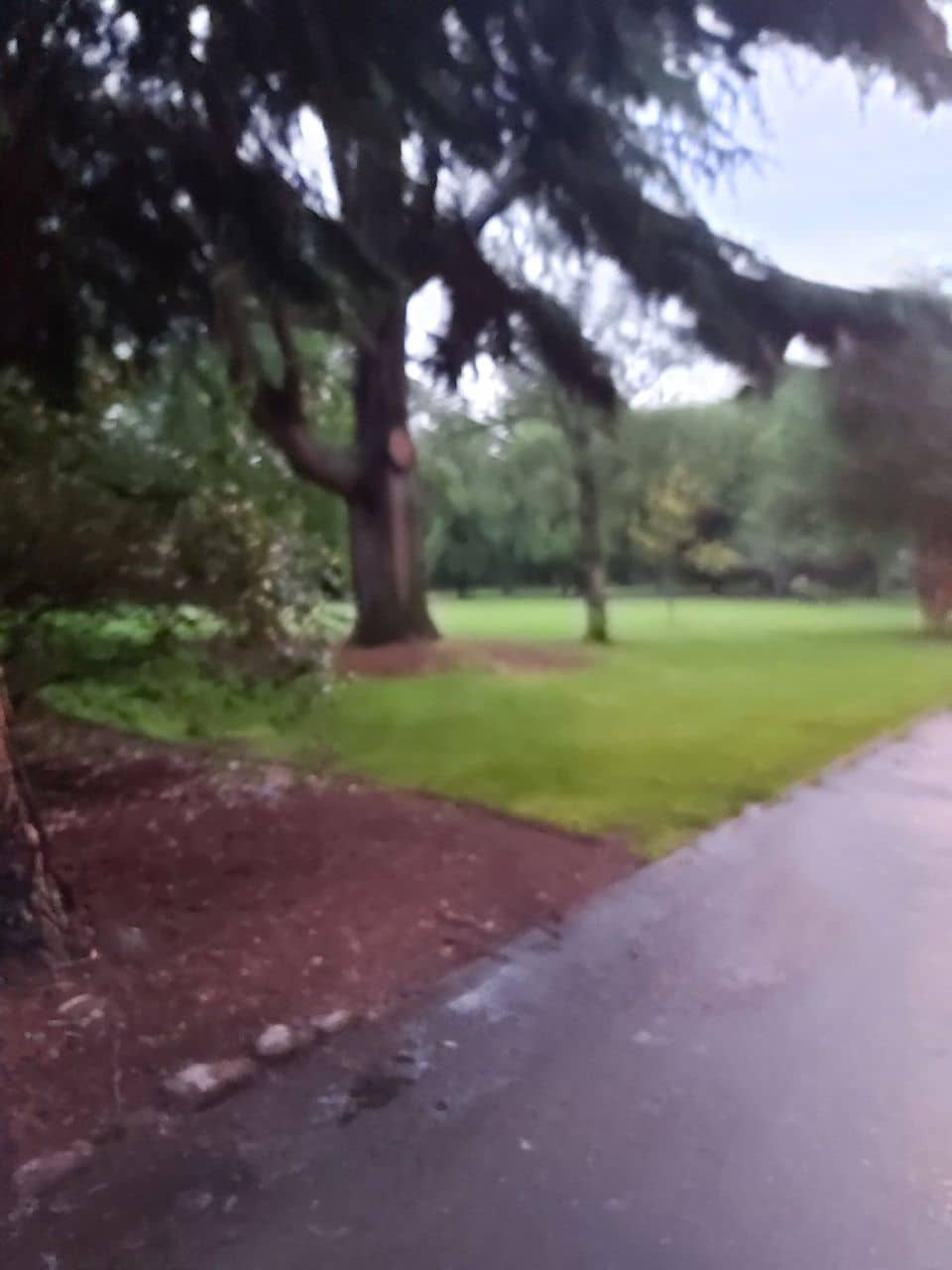 Children's Playgrounds